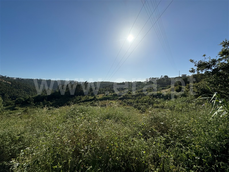Terreno Rústico  com Rústico Mafra, Santo Isidoro - 1391306 - 16