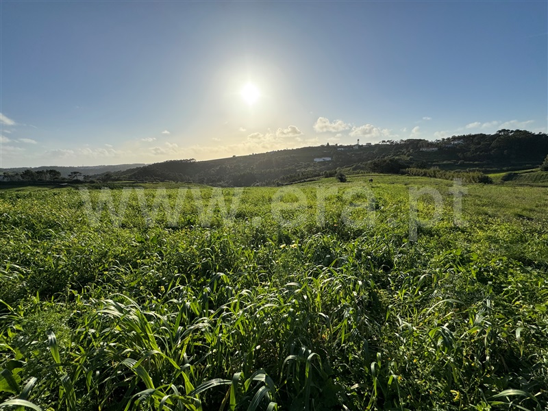 Terreno Rústico / Mafra, Santo Isidoro