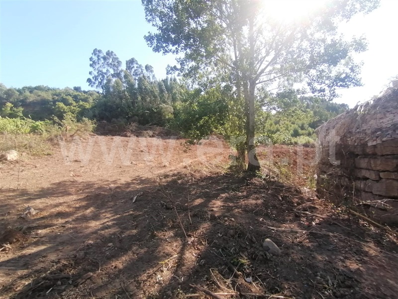 Terreno Rústico  Mafra, São Miguel de Alcainça, Mafra - 1065783 - 8