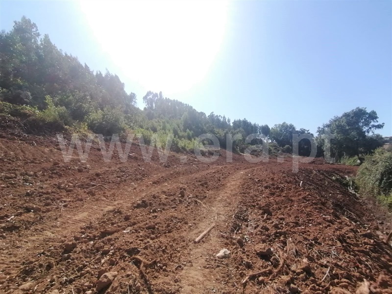 Terreno Rústico  Mafra, São Miguel de Alcainça, Mafra - 1065783 - 9
