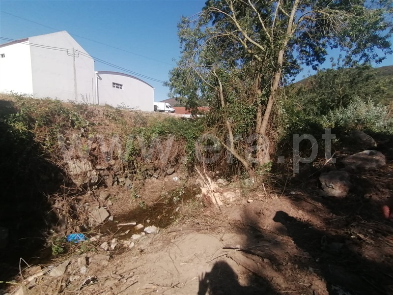 Terreno Rústico  Mafra, São Miguel de Alcainça, Mafra - 1065783 - 15