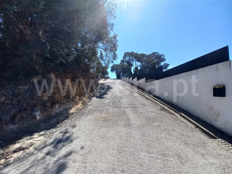 Terreno Rústico  Mafra, Azueira e Sobral da Abelheira - 1266579 - 10