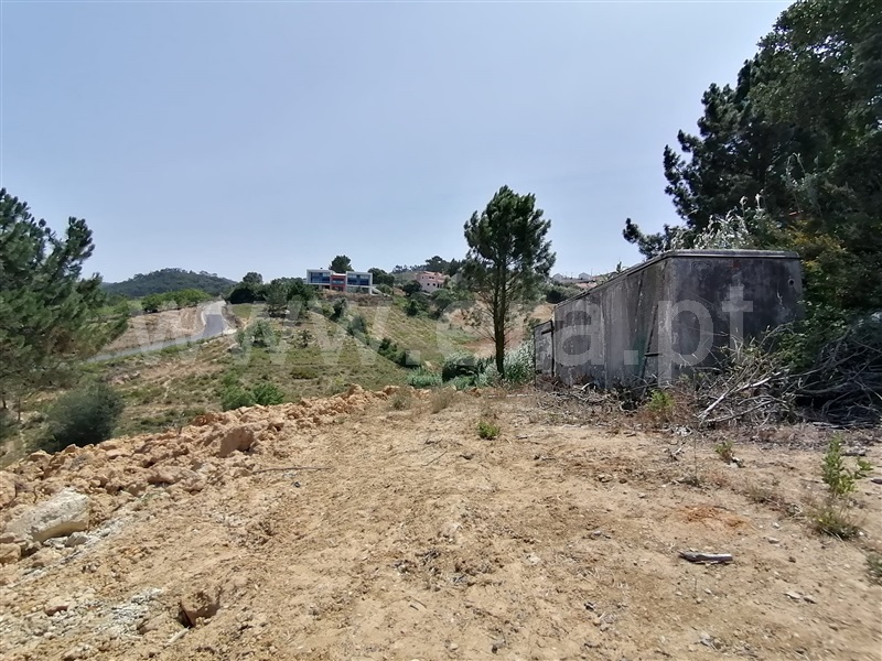 Terreno Rústico  com Agrícola Mafra, Sobral da Abelheira, Mafra - 1266579 - 20