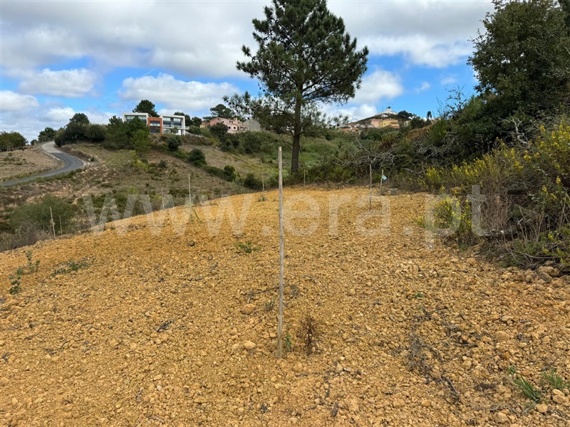 Terreno Rústico  com Agrícola Mafra, Sobral da Abelheira, Mafra - 1266579 - 14
