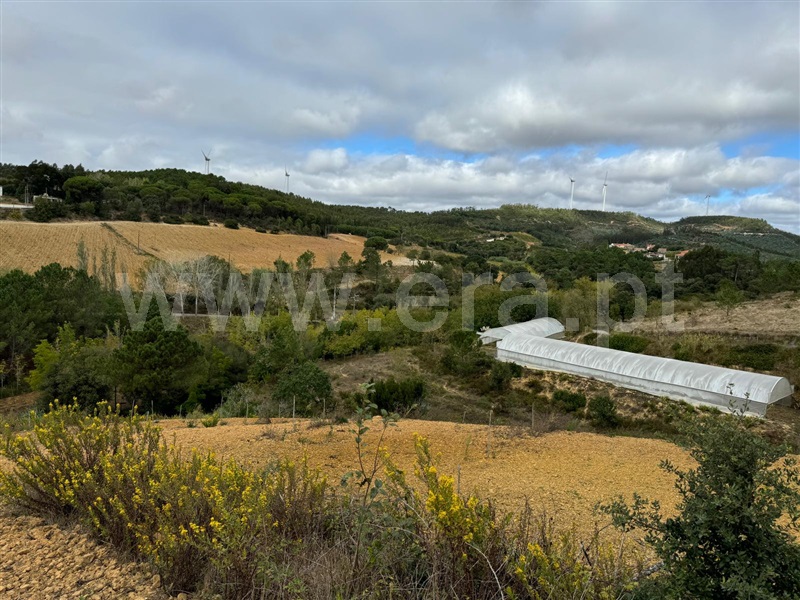 Terreno Rústico  com Agrícola Mafra, Sobral da Abelheira, Mafra - 1266579 - 16