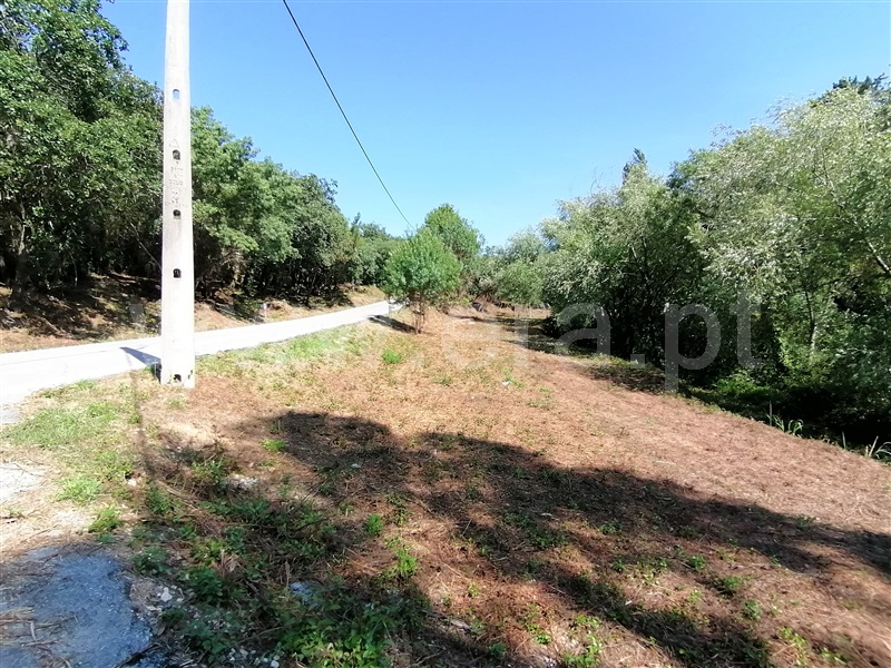 Terreno Rústico  Mafra, Sobral da Abelheira, Mafra - 271312 - 10