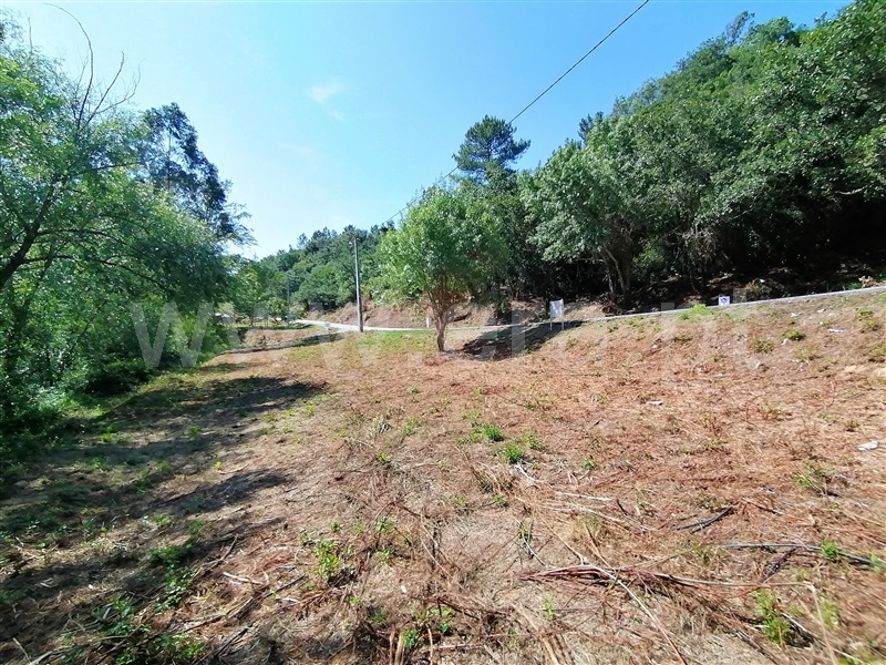 Terreno Rústico  Mafra, Sobral da Abelheira, Mafra - 271312 - 13