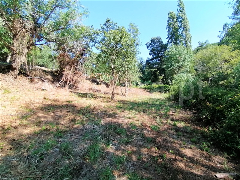 Terreno Rústico  Mafra, Sobral da Abelheira, Mafra - 271312 - 14