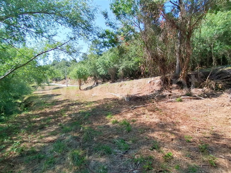 Terreno Rústico  Mafra, Sobral da Abelheira, Mafra - 271312 - 16
