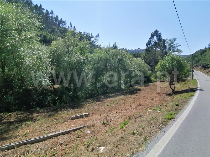 Terreno Rústico  Mafra, Sobral da Abelheira, Mafra - 271312 - 17