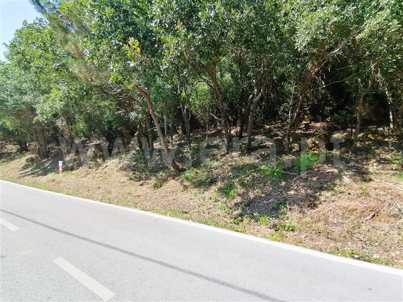 Terreno Rústico  Mafra, Sobral da Abelheira, Mafra - 271312 - 18