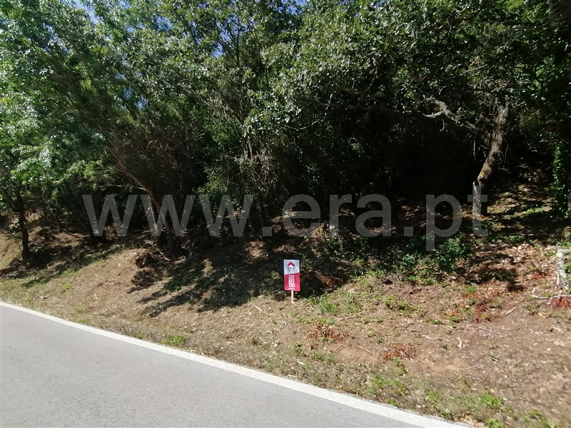 Terreno Rústico  Mafra, Sobral da Abelheira, Mafra - 271312 - 19