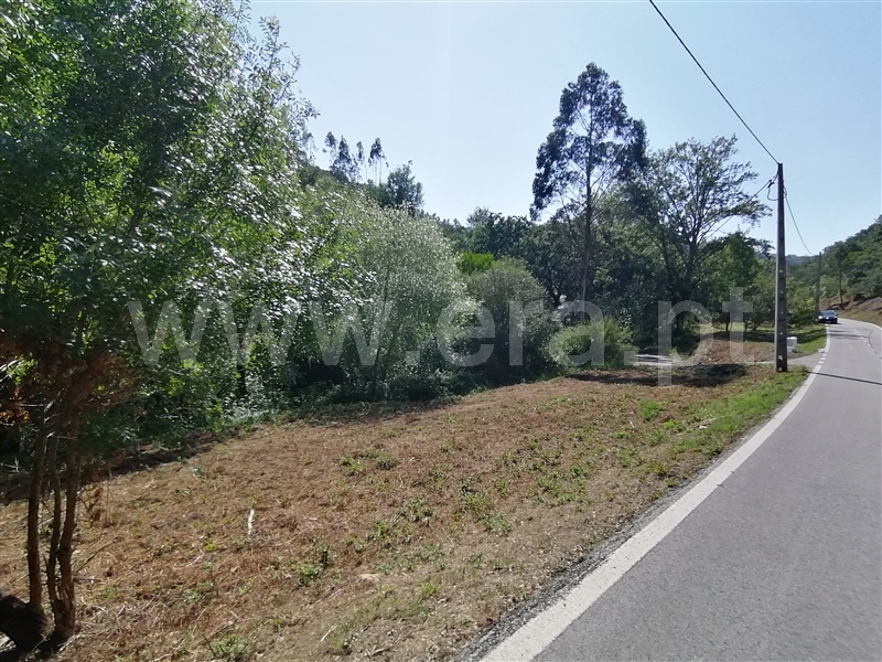 Terreno Rústico  Mafra, Sobral da Abelheira, Mafra - 271312 - 19
