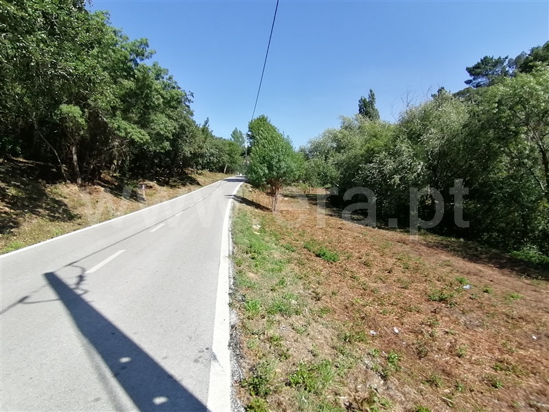 Terreno Rústico  Mafra, Sobral da Abelheira, Mafra - 271312 - 21