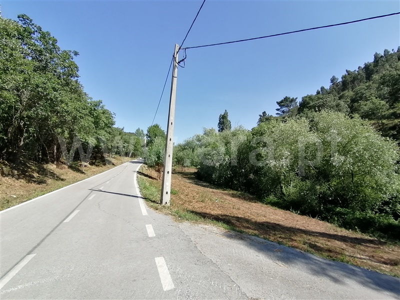 Terreno Rústico  Mafra, Sobral da Abelheira, Mafra - 271312 - 22