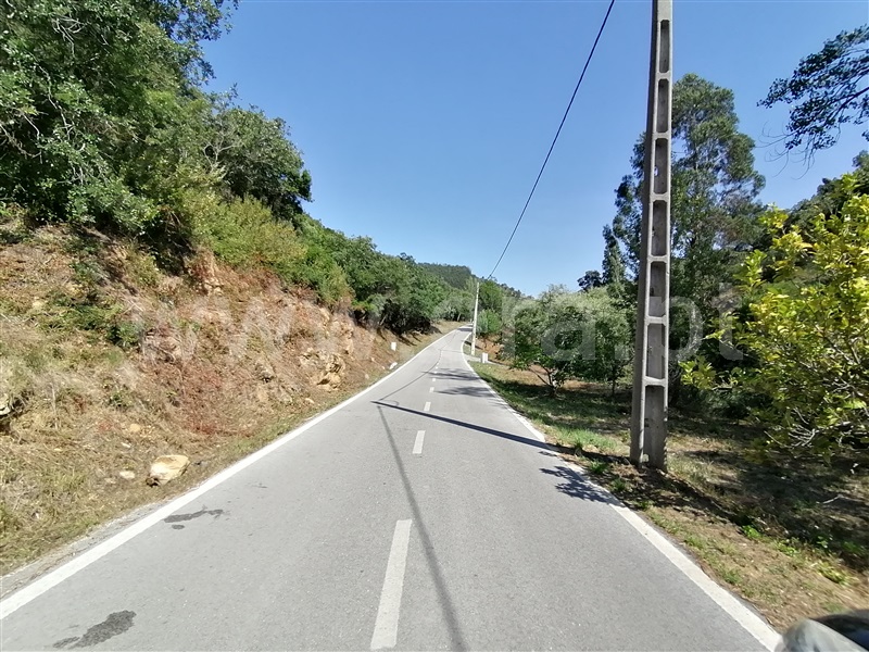 Terreno Rústico  Mafra, Sobral da Abelheira, Mafra - 271312 - 23