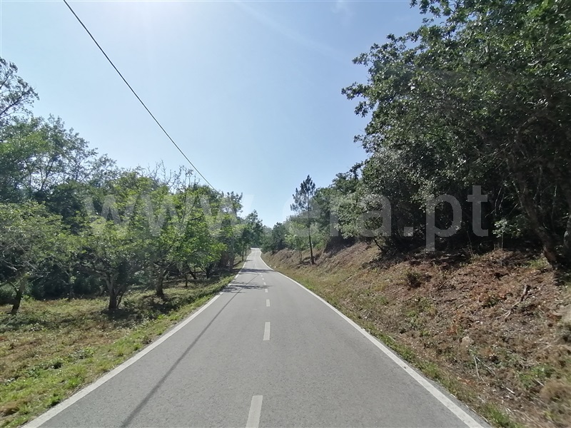 Terreno Rústico  Mafra, Sobral da Abelheira, Mafra - 271312 - 24