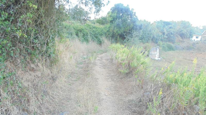 Terreno Rústico  Mafra, Sobral da Abelheira, Mafra - 765696 - 5