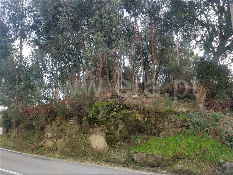 Terreno Rústico / Maia, Águas Santas