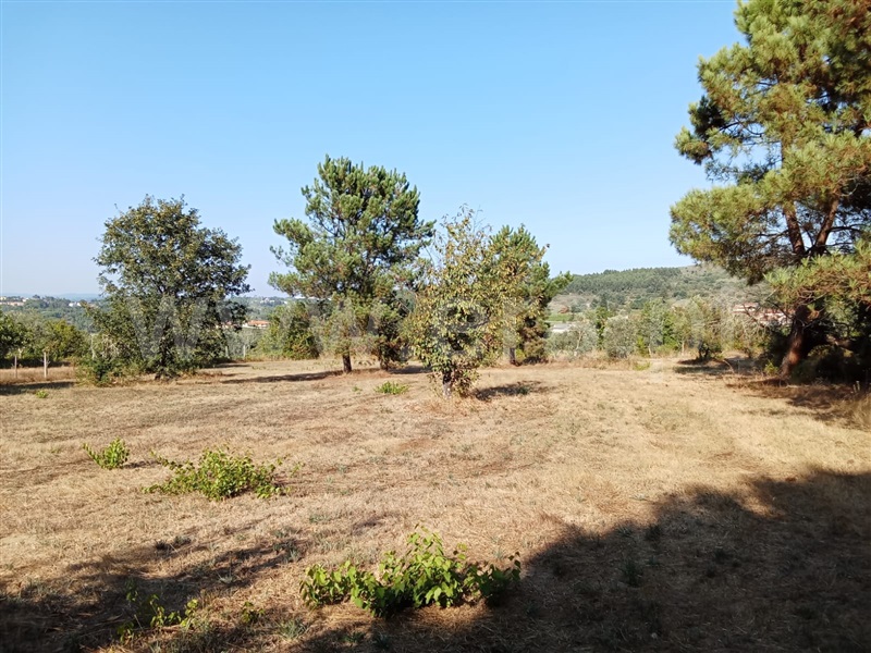 Terreno Rústico / Mangualde, Fornos de Maceira Dão