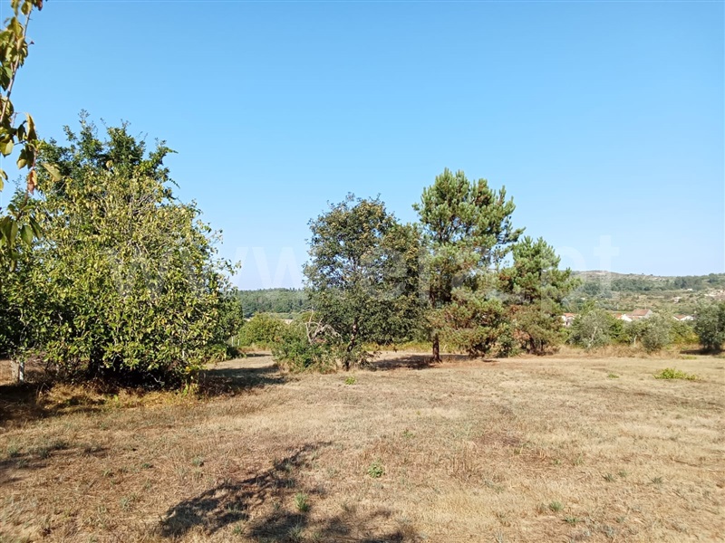 Terreno Rústico  Mangualde, Fornos de Maceira Dão - 1427450 - 2