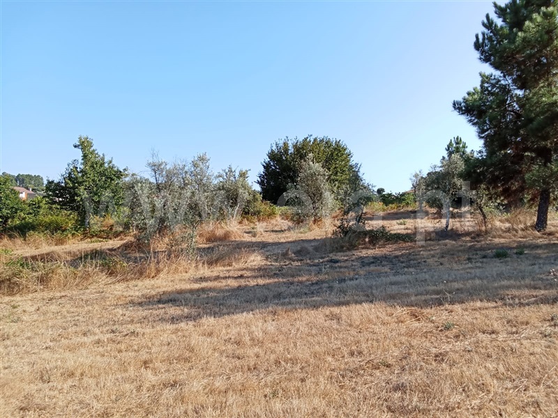 Terreno Rústico  Mangualde, Fornos de Maceira Dão - 1427450 - 6