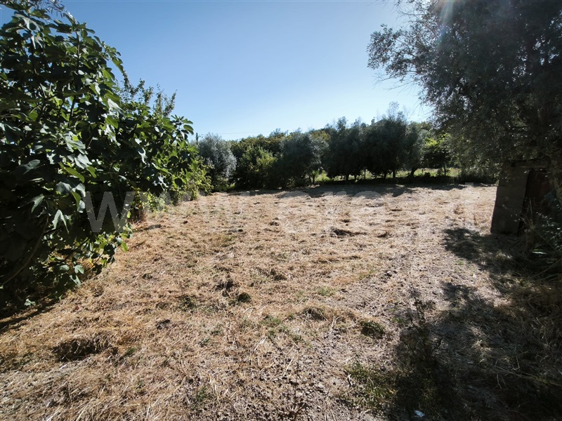 Terreno Rústico  Mangualde, Mangualde, Mesquitela e Cunha Alta - 1481265 - 4