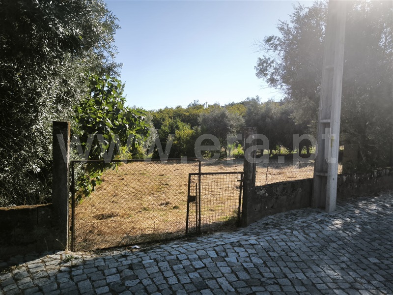 Terreno Rústico  Mangualde, Mangualde, Mesquitela e Cunha Alta - 1481265 - 7
