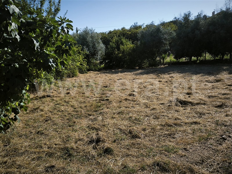 Terreno Rústico  Mangualde, Mangualde, Mesquitela e Cunha Alta - 1481265 - 8