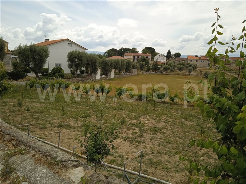 Terreno Rústico  Mangualde, Santiago de Cassurrães e Póvoa de Cervães - 1330065 - 2