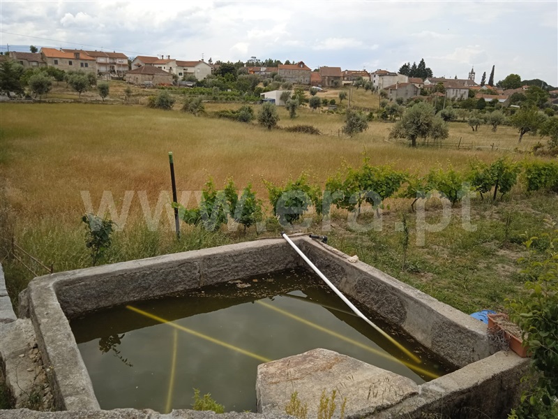Terreno Rústico  Mangualde, Santiago de Cassurrães e Póvoa de Cervães - 1330065 - 4
