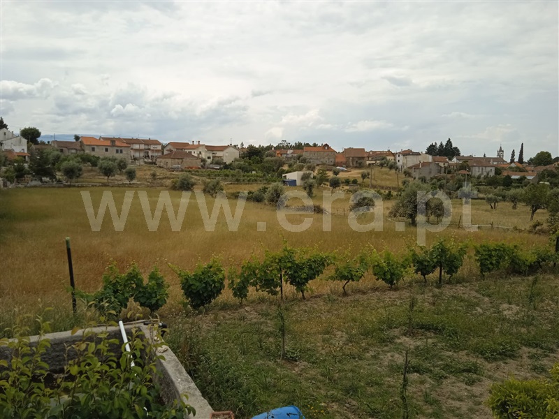 Terreno Rústico  Mangualde, Santiago de Cassurrães e Póvoa de Cervães - 1330065 - 6
