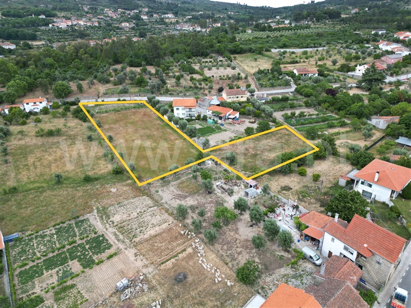 Terreno Rústico  Mangualde, Santiago de Cassurrães e Póvoa de Cervães - 1330065 - 7