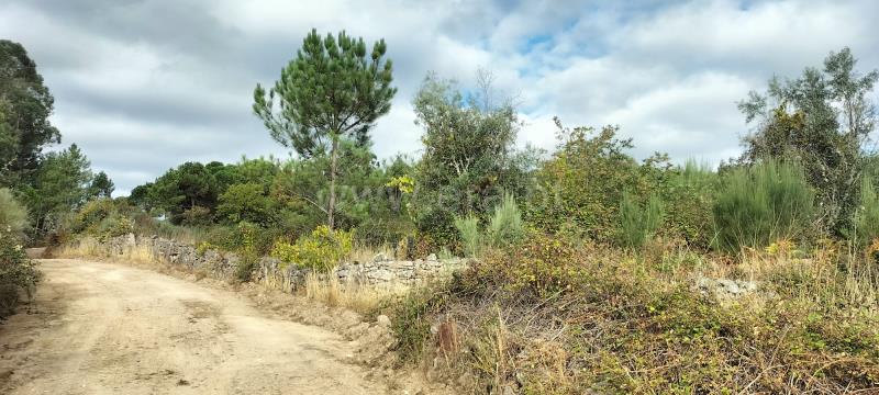 Terreno Rústico / Mangualde, Santiago de Cassurrães e Póvoa de Cervães