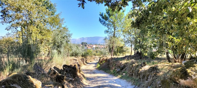 Terreno Rústico / Mangualde, Santiago de Cassurrães e Póvoa de Cervães
