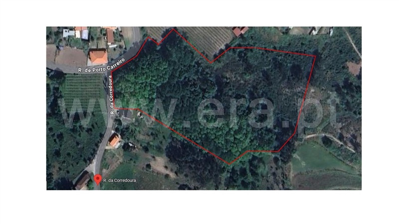 Terreno Rústico  com Rústico Marco de Canaveses, Vila Boa de Quires e Maureles - 1466617 - 4