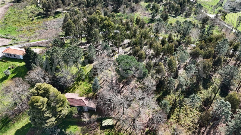 Terreno Rústico  com Rústico Marco de Canaveses, Vila Boa de Quires e Maureles - 1466617 - 7