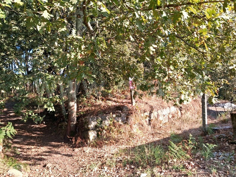 Terreno Rústico  com Rústico Marco de Canaveses, Vila Boa do Bispo - 1513495 - 4