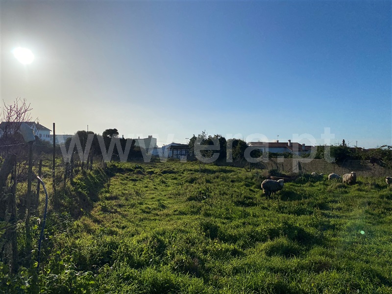 Terreno Rústico  Marinha Grande, Vieira de Leiria - 1460143 - 8