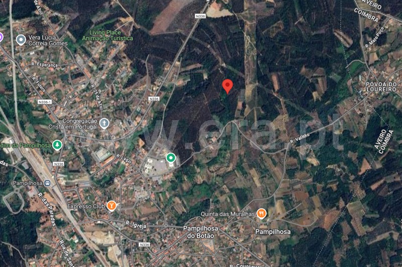 Terreno Rústico  Mealhada, Pampilhosa - 1437637 - 2