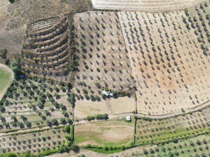 Terreno Rústico  Mirandela, Carvalhais - 1435163 - 2