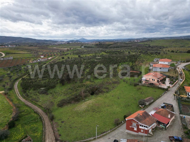 Terreno Rústico  com Rústico Mirandela, Carvalhais - 1468818 - 5