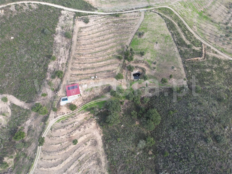 Terreno Rústico  Mirandela, São Salvador - 1445780 - 3
