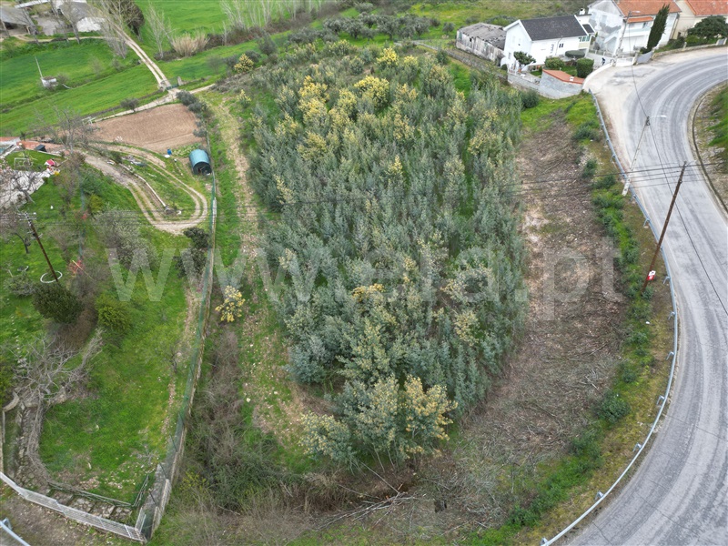 Terreno para Construção  com Aprovado Mirandela, Suçães - 1462884 - 5