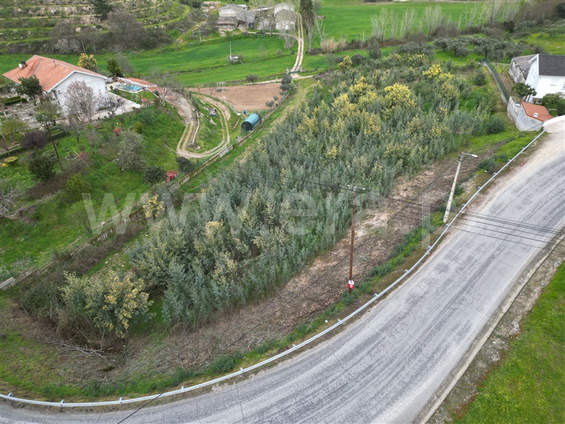 Terreno para Construção  com Aprovado Mirandela, Suçães - 1462884 - 6