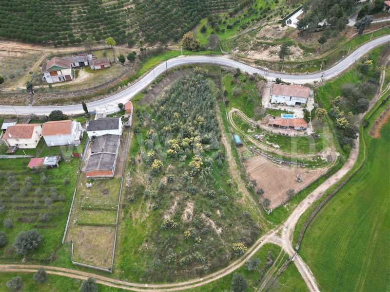 Terreno para Construção  com Aprovado Mirandela, Suçães - 1462884 - 7