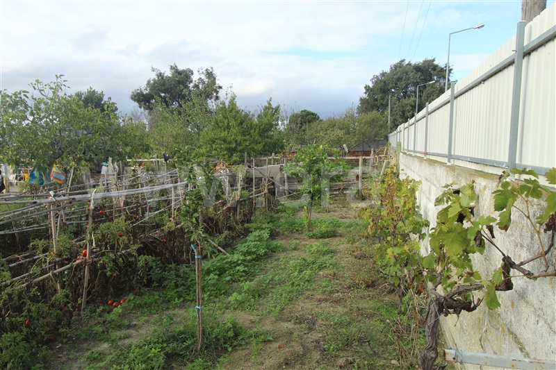 Terreno Rústico  Montijo, Atalaia e Alto Estanqueiro-Jardia - 1284549 - 1