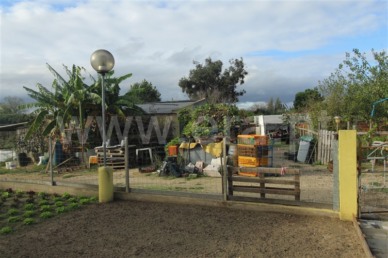 Terreno Rústico  Montijo, Atalaia e Alto Estanqueiro-Jardia - 1284549 - 3