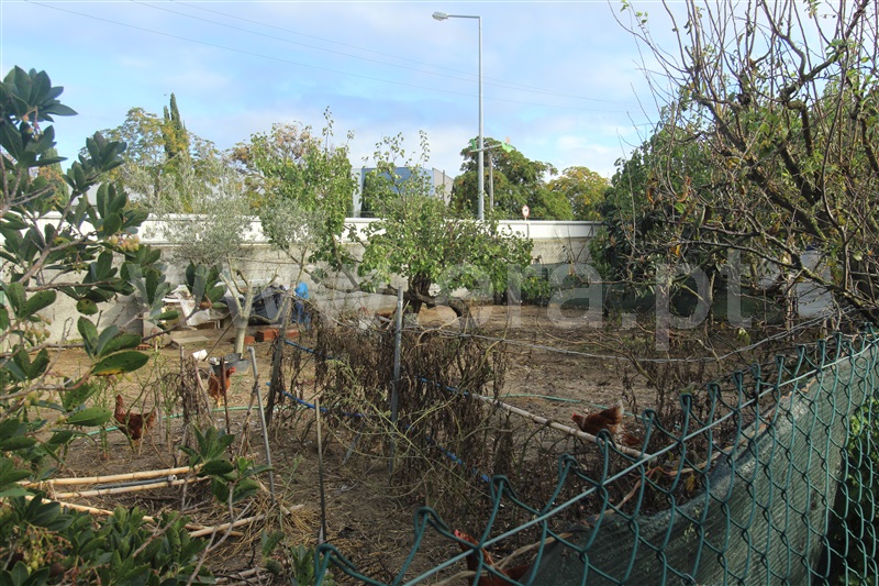 Terreno Rústico  Montijo, Atalaia e Alto Estanqueiro-Jardia - 1284549 - 16