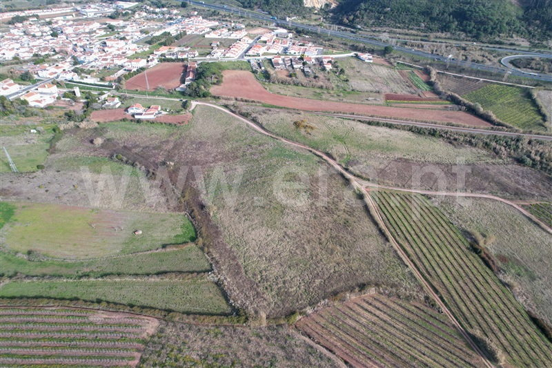 Terreno Rústico  Óbidos, A-da-Gorda - 1225895 - 2